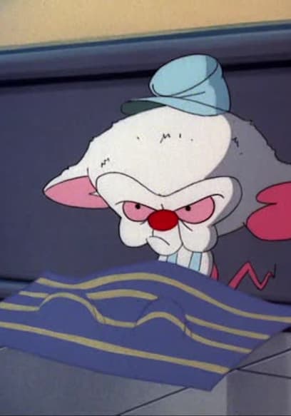 S03:E03 - Pinky & the Brain And... Larry / Where the Deer and the Mouselopes Play poster