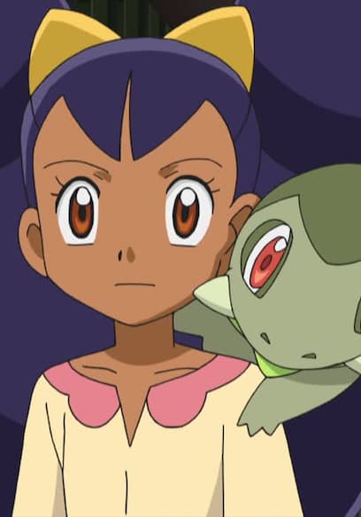 S15:E41 - Iris and the Rogue Dragonite! poster