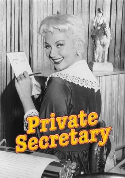 Private Secretary poster
