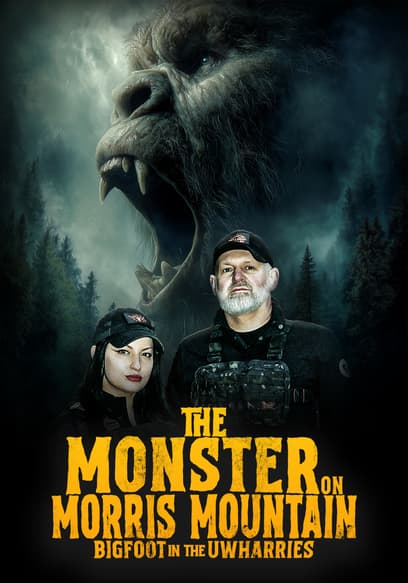 The Monsters on Morris Mountain: The Bigfoot in the Uwharries poster