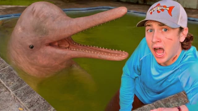 S02:E10 - I Found Dolphins in an Abandoned Pool!