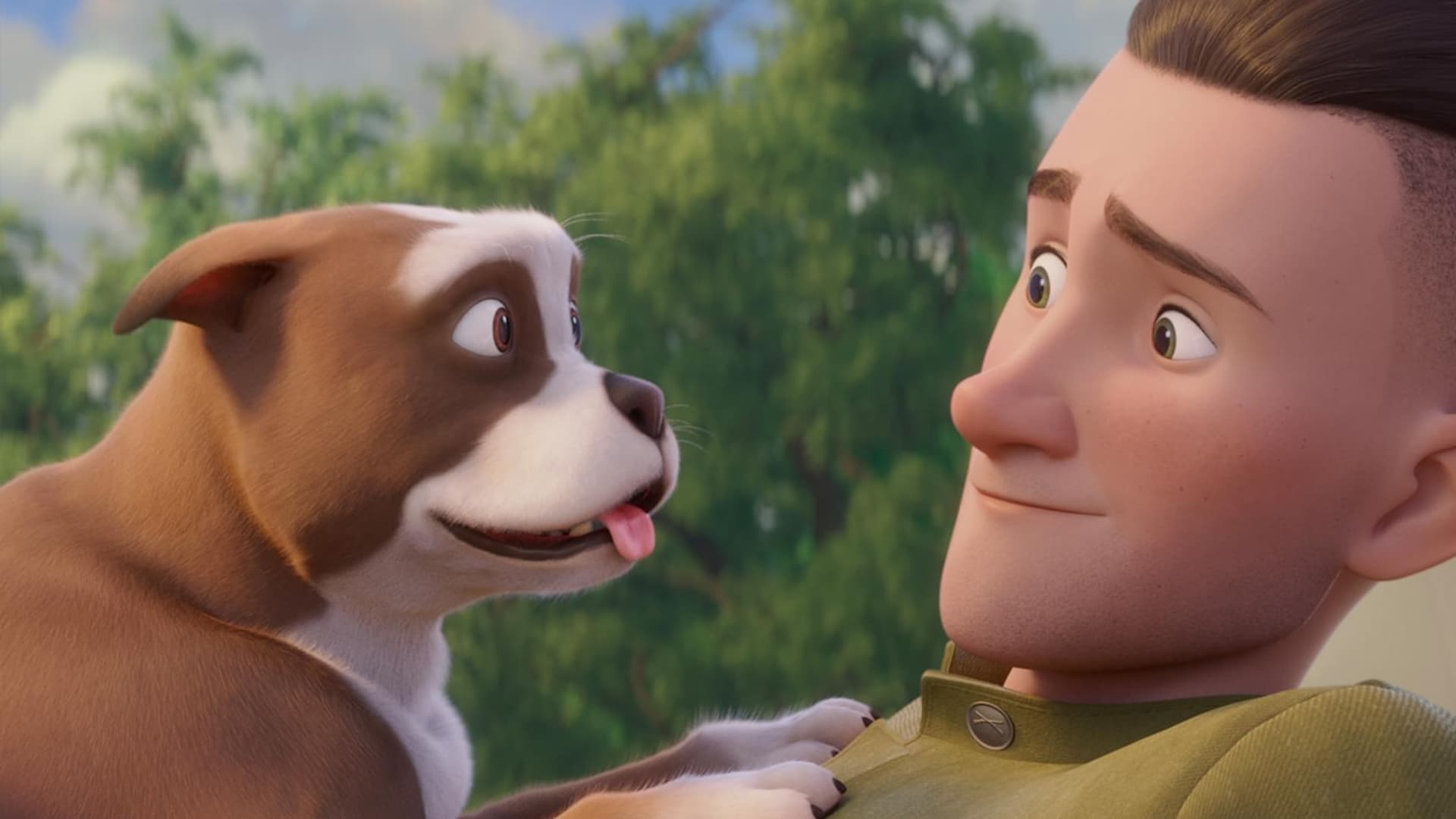 El sargento stubby pelicula completa en español latino