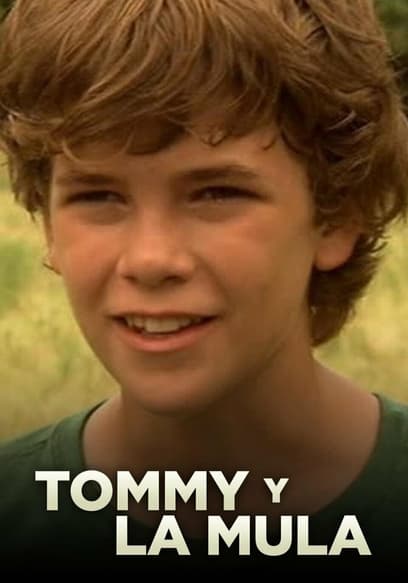 Tommy y la mula (Doblado)