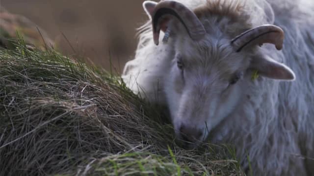 S01:E11 - Episode 11