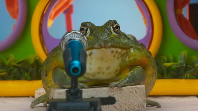 S01:E07 - The Big Scoop / Mittens’ Perfect Toy / Blueberry’s Journey