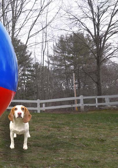 S01:E05 - Dogs, Aliens, and Oversized Toys poster