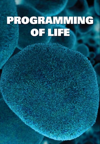 Programming of Life
