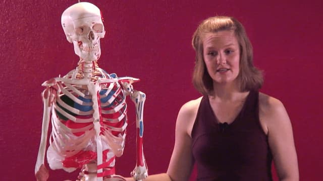 S01:E01 - Take a Deep Breath