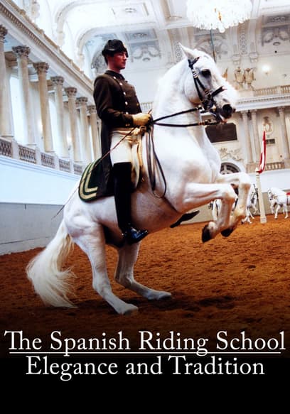 The Spanish Riding School: Elegance and Tradition