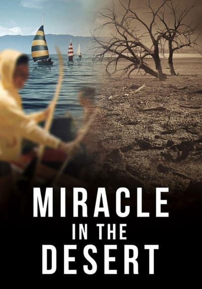 Miracle in the Desert