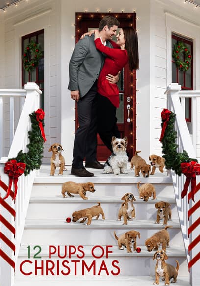 12 Pups of Christmas