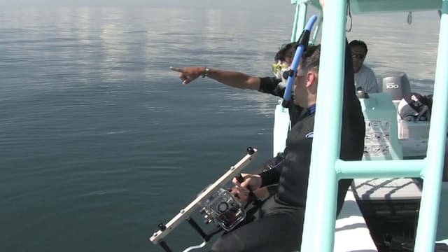 S01:E02 - Whale Sharks in Mexico