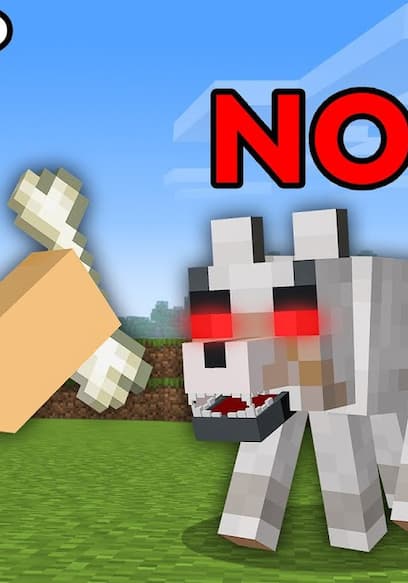 S05:E14 - Talking to Animals in Minecraft poster