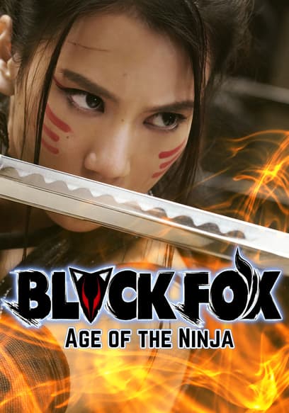 Black Fox: Age of the Ninja (Subbed)