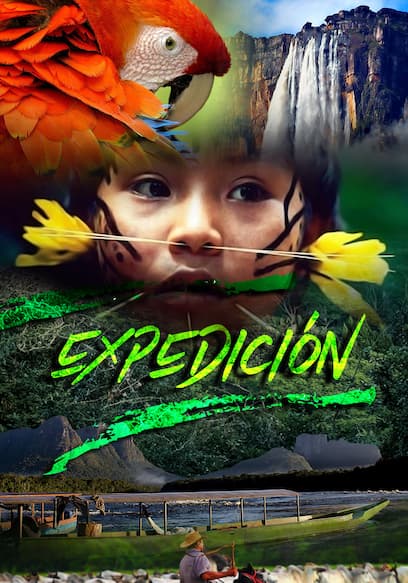 Expedición