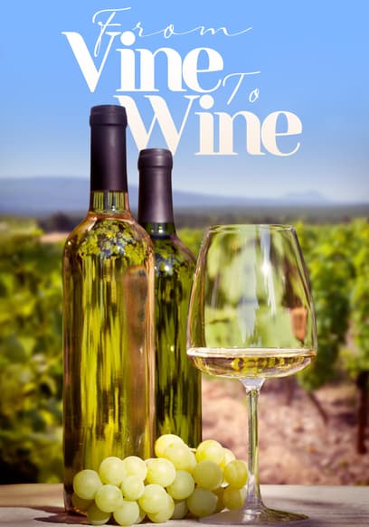 From Vine to Wine poster