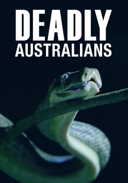 Deadly Australians