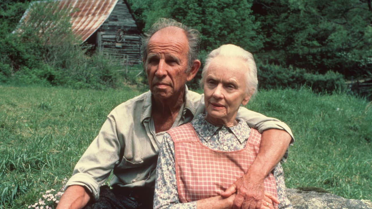 Watch Foxfire