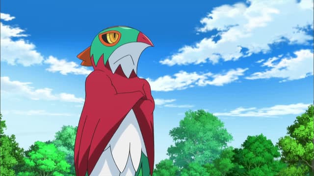 S17:E34 - the Forest Champion!