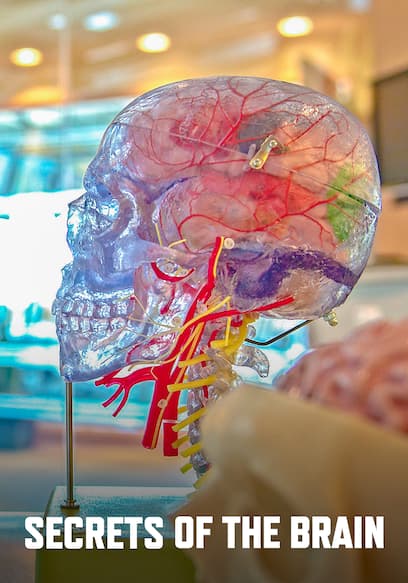 Secrets of the Brain