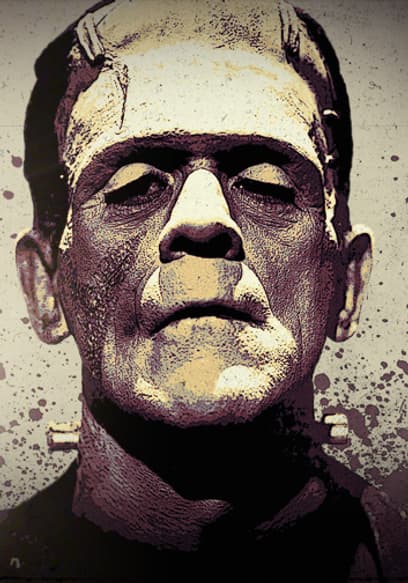 The Strange Life of Dr. Frankenstein poster