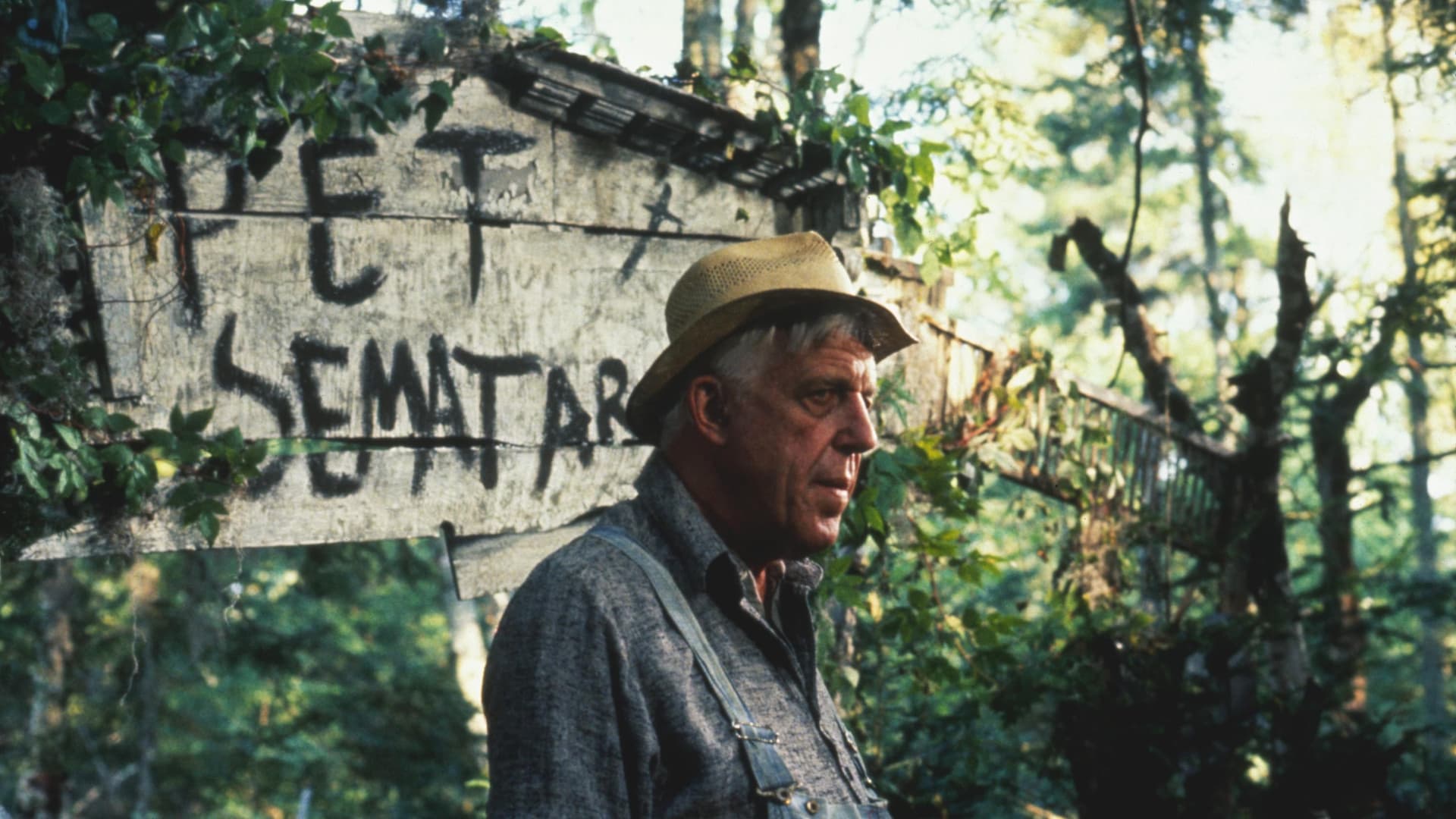 All Hail Stephen King With 10 Movies to Watch on Tubi