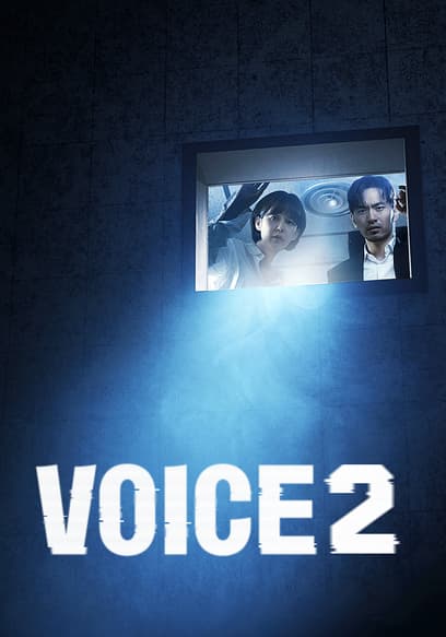 Voice 2 poster