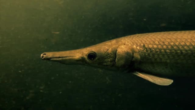 S01:E02 - Cuba, a Green Wonderland, Paradise on the Brink