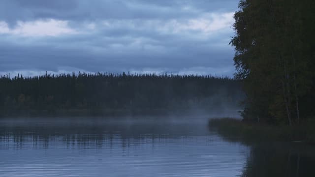 S10:E02 - Ties That Bind