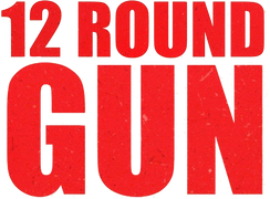 12 Round Gun