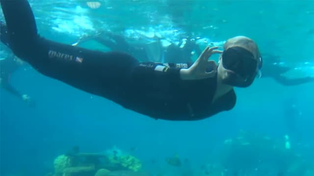S03:E03 - Swimming With Sharks, Dog Training, and Helping Feral Cats