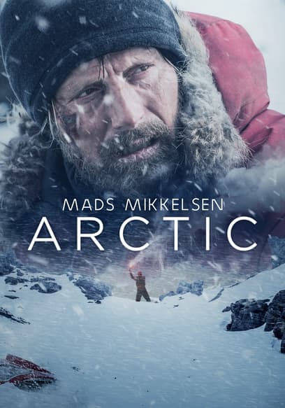 Arctic poster