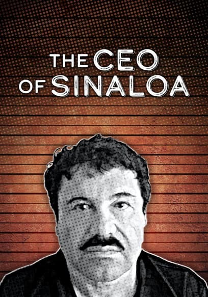 The CEO of Sinaloa