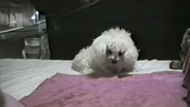 S01:E10 - Episode 10