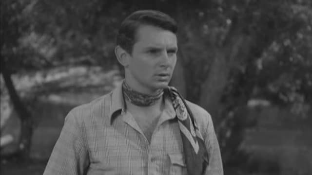 S04:E11 - Hoppy Serves a Writ