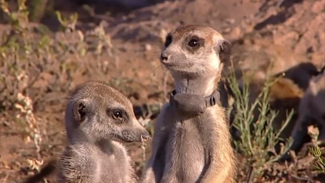 S01:E05 - Childhood's End