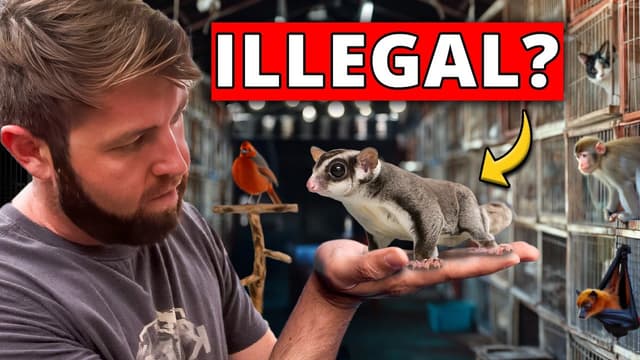 S01:E08 - I Went Undercover in an Illegal Exotic Animal Market 