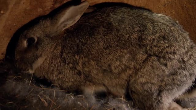 S01:E03 - Episode 3