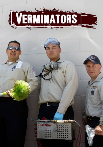 S01:E10 - Roach Motherload