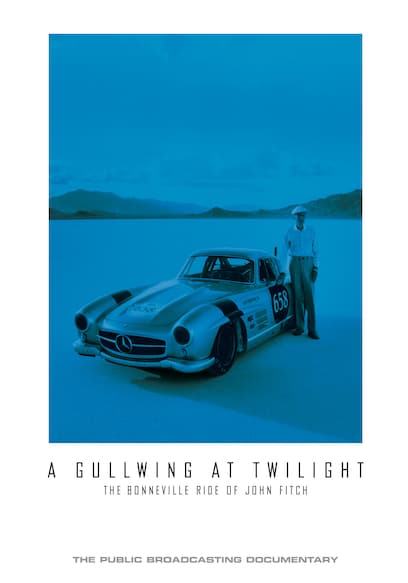 A Gullwing at Twilight