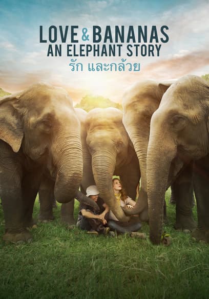 Love and Bananas: An Elephant Story