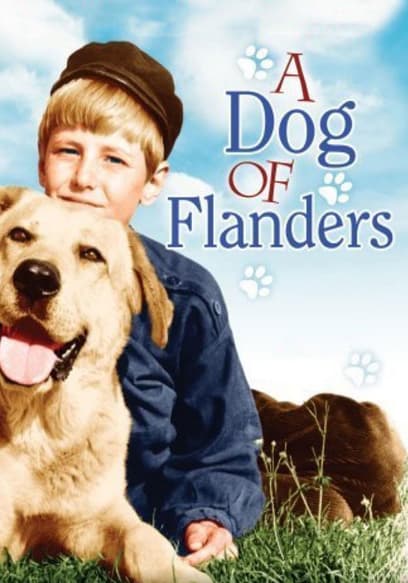 A Dog of Flanders