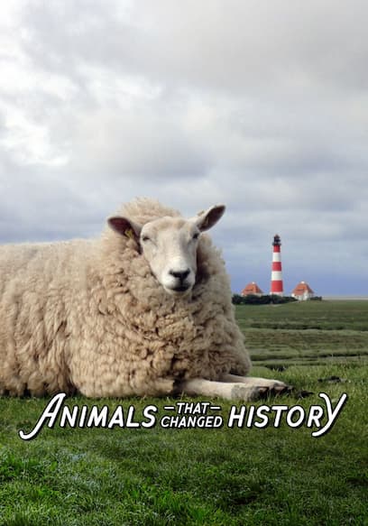 Animals That Changed History