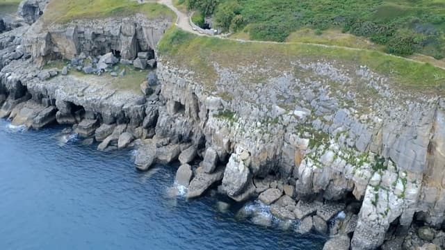 S01:E02 - Cuttlefish