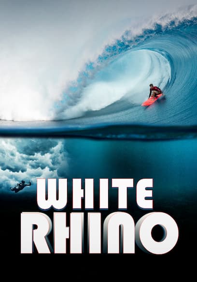 White Rhino