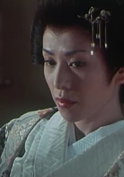 S01:E14 - The Shogun Disappeared! The Plot of the Female Foxes poster