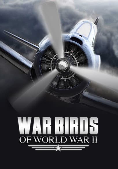 Warbirds of World War II