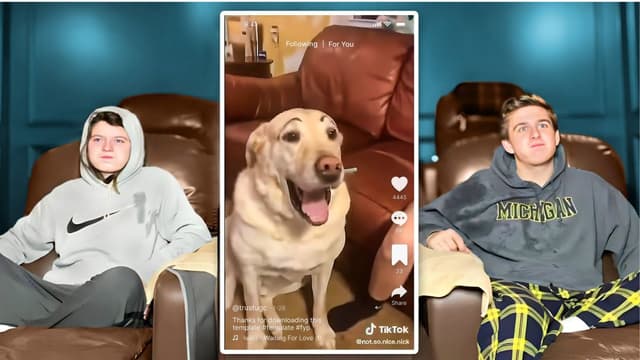 S01:E17 - Try Not to Laugh TIKTOK EDITION