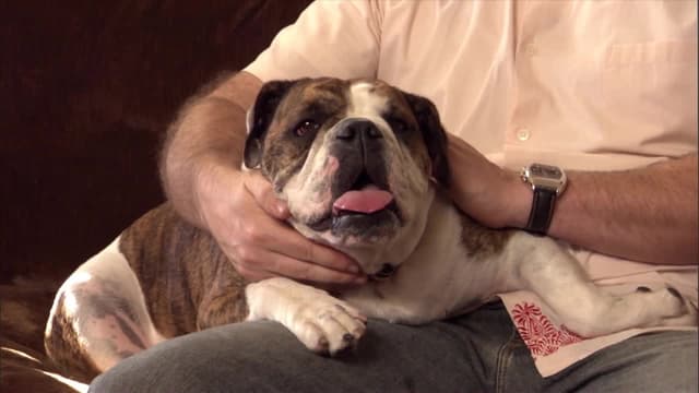 S02:É03 - S02:E03 - Devil Dog