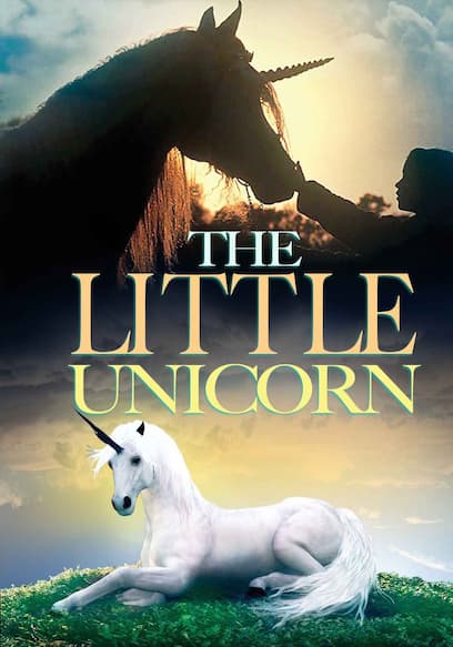 The Little Unicorn (Español) poster